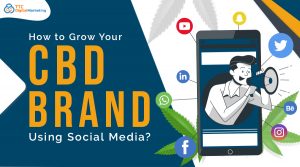 cbd marketing agency