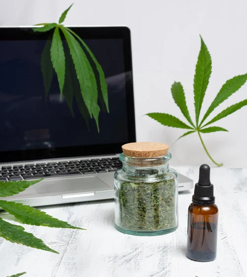 choose us for your CBD hemp digital marketing